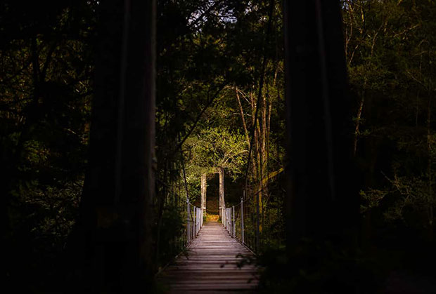 signs of vicodin addiction