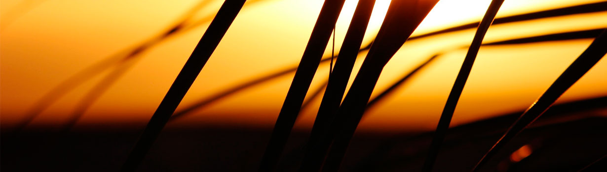 dual diagnosis treatment